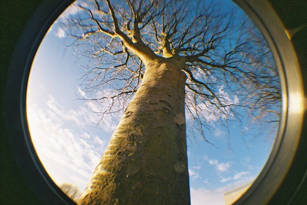 Fisheye