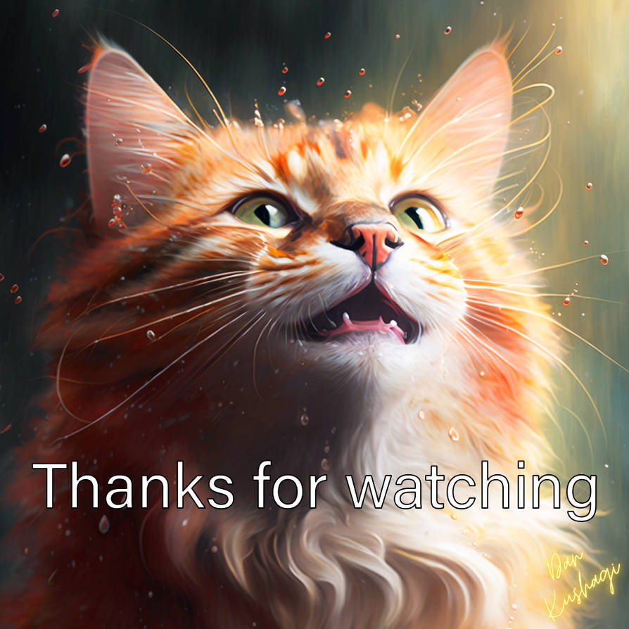 Thanks for watching