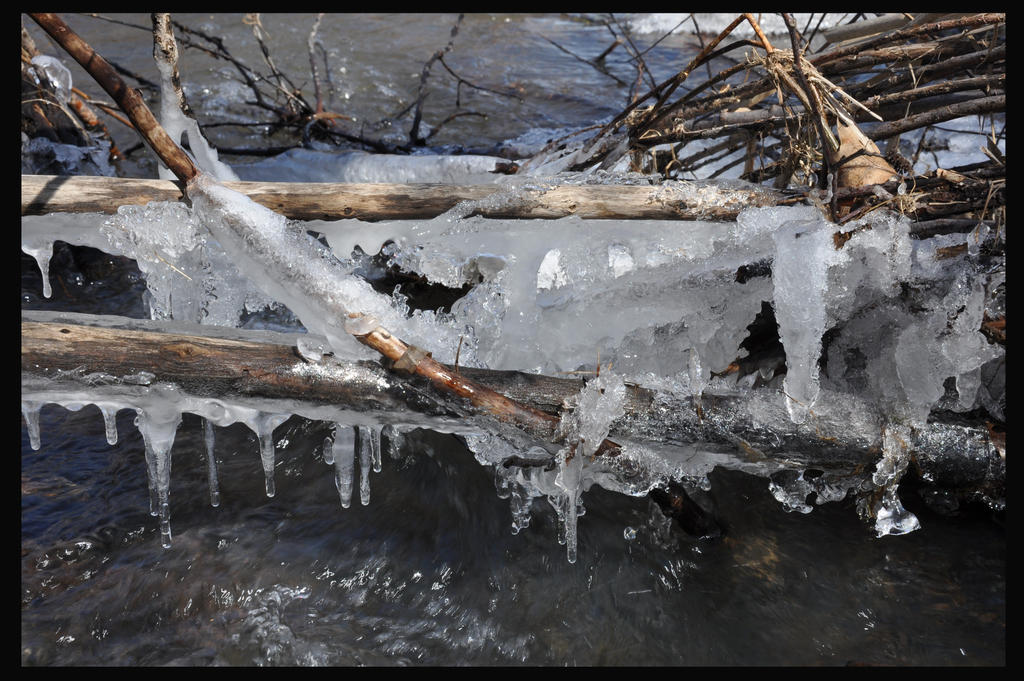 Iced by wormwood58 on DeviantArt