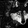 Black and White Wolf