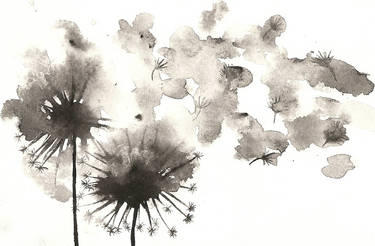 Dandelions