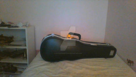 My New Violin