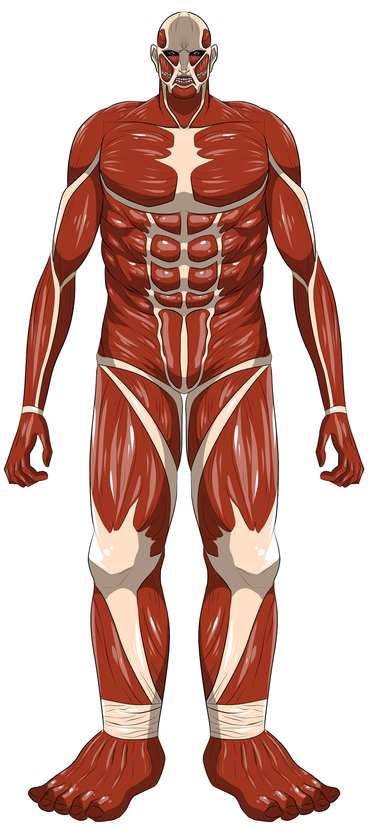 Collsal Colossal Titan by sakohju on DeviantArt