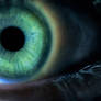 Eye