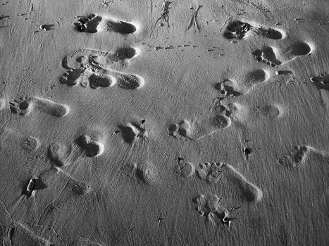 Footprints