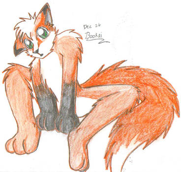 Fox Anthro