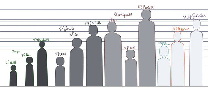 Mutant Humans and Skeletons Sizes