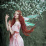 Fairy queen_2