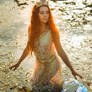 Waterlilies Queen_6