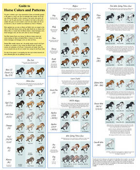 Guide To Horse Colors and Patterns