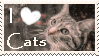 I love cats // stamp