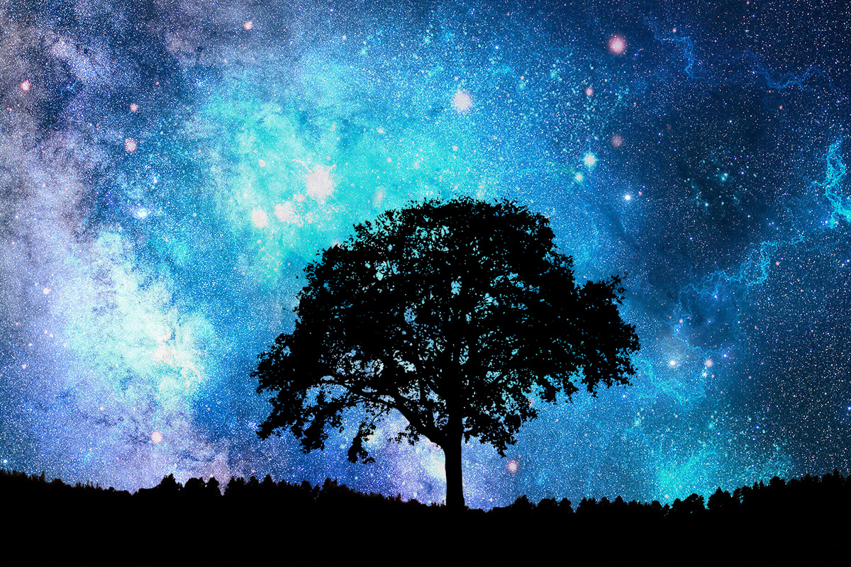 Alone Tree Wallpaper by Angela-White on DeviantArt Alone Tree Wallpaper by Angela-White on DeviantArt