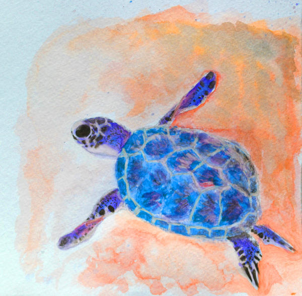 Turtle inverted by QuinoaFox on DeviantArt
