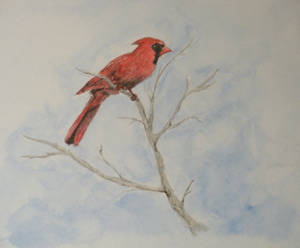 Cardinal