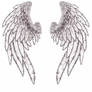 Wings Tattoo1