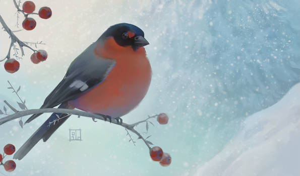 Bullfinch study