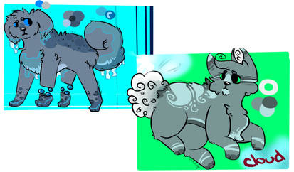 Water + Cloud [Canine Auction]