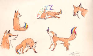 Rainbow Foxes :3