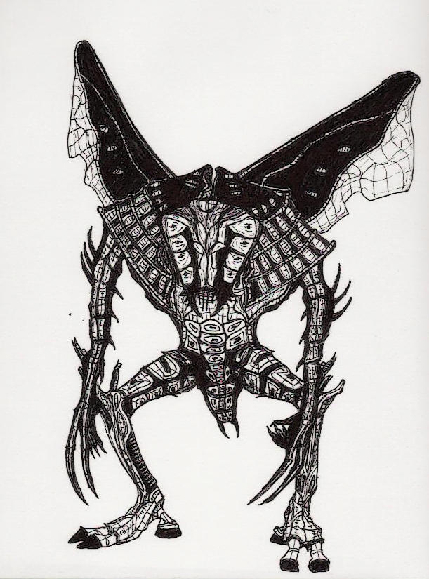 Insectoid Drawing Insectoid by paleobserver on DeviantArt