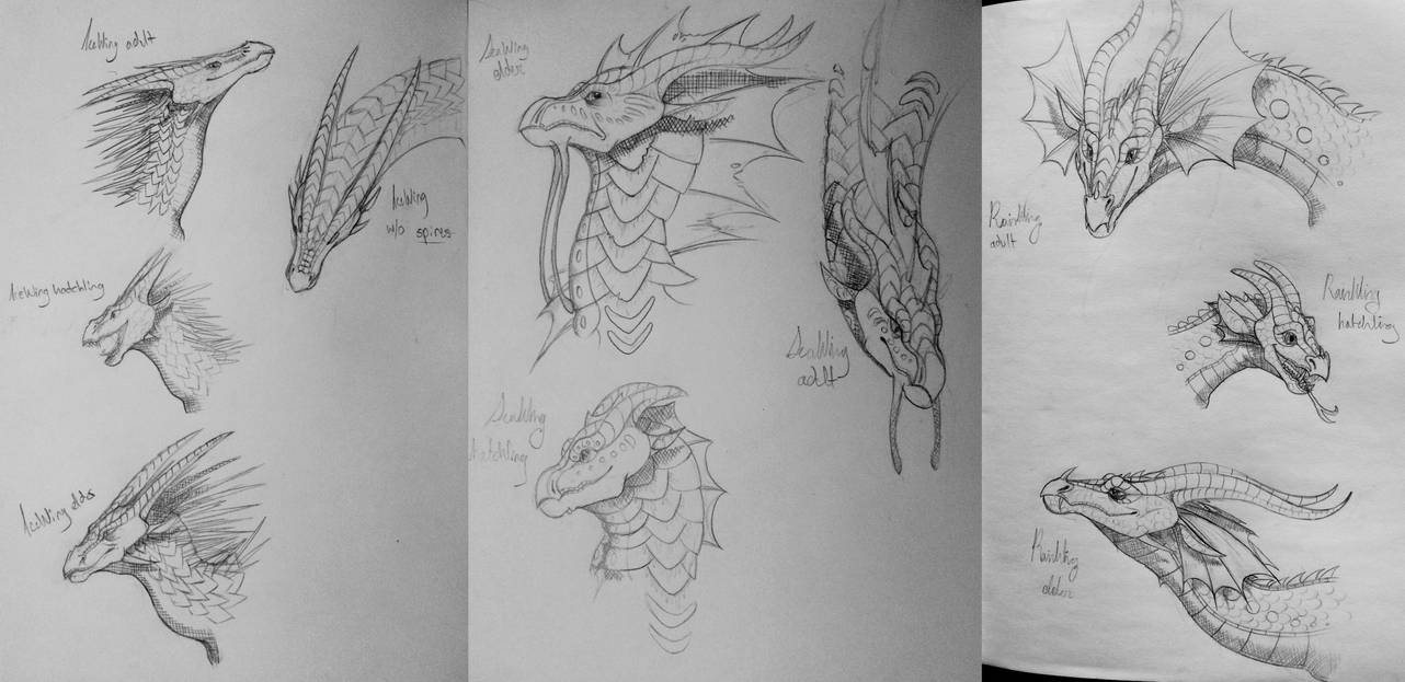 WoF Tribe Age Studies Part I by talonsandtails on DeviantArt