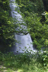 forest waterfall