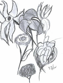 Flowers - Sketch2nd