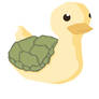 Turtle Duck