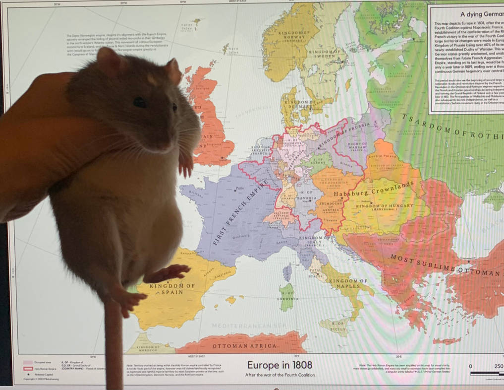 Fenris' rat next to my map by Minkshaming on DeviantArt