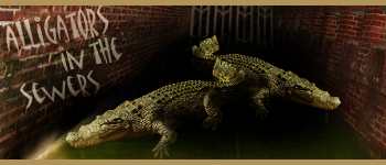 Alligators in the sewers