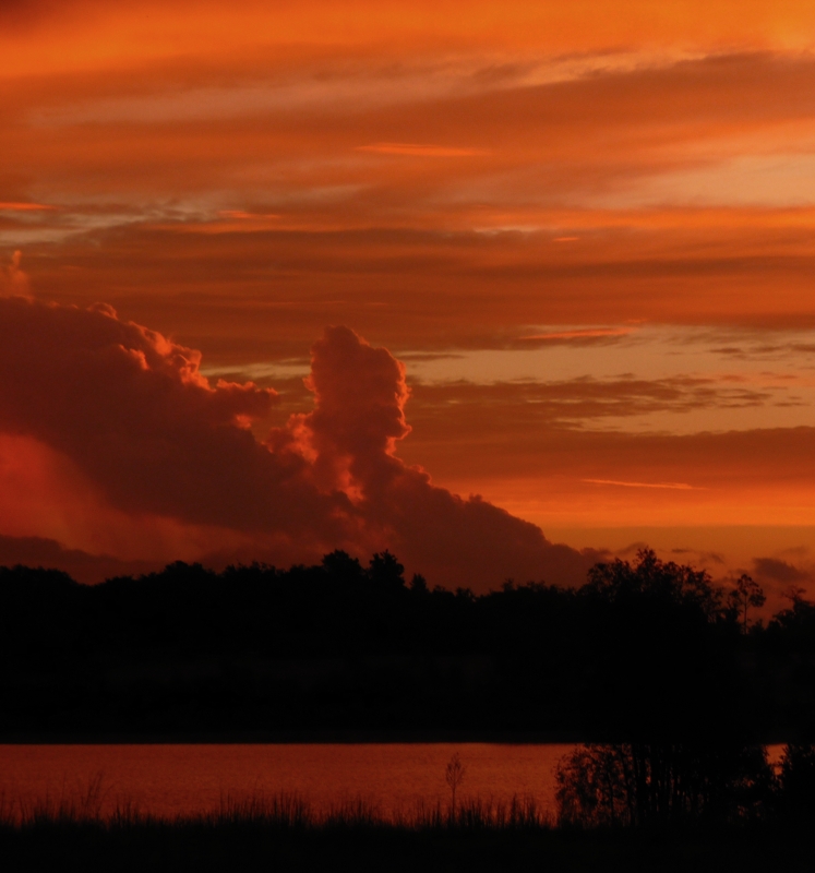 Toward The Kissimmee