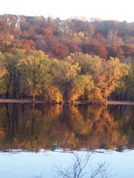 multi-colored reflection