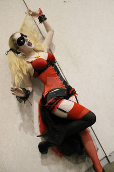 Burlesque Harley Quinn 2