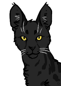 Black Serval Ffu