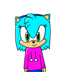 Swift the hedgehog