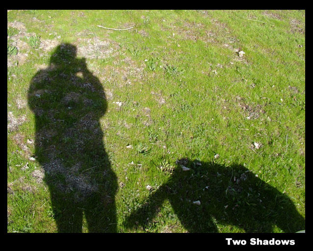 Two Side Shadow Two Shadows by sunnyontheotherside on DeviantArt