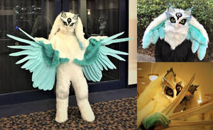 Bluegill Triple Prime-san Fullsuit