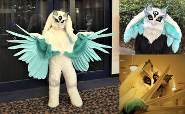 Bluegill Triple Prime-san Fullsuit