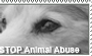 Stop Animal Abuse Stamp