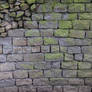 Brick Texture Rock Stone Algea Grey Green Uneven