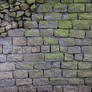Brick Texture Rock Stone Algea Grey Green Uneven