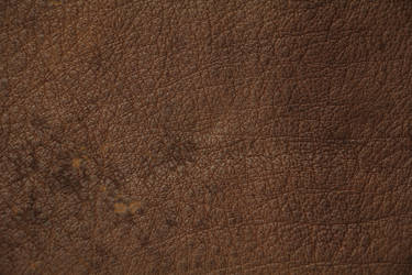 Brown Leather Texture Spotted High Resolution Stoc