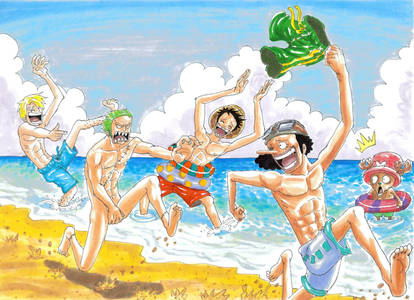 one piece, beach