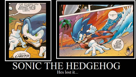 One word sonic cant stand