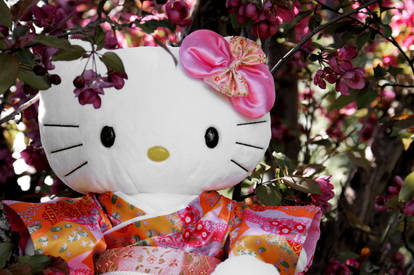 Hello Kitty Blossoms