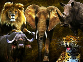 The Big Five