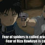 riza hawkeye