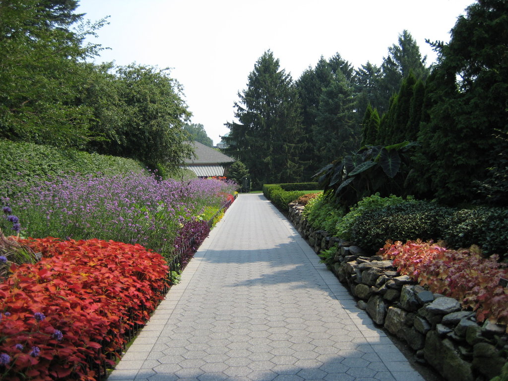 Peace Garden