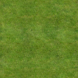 tileable grass texture