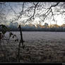 Winter Sunrise
