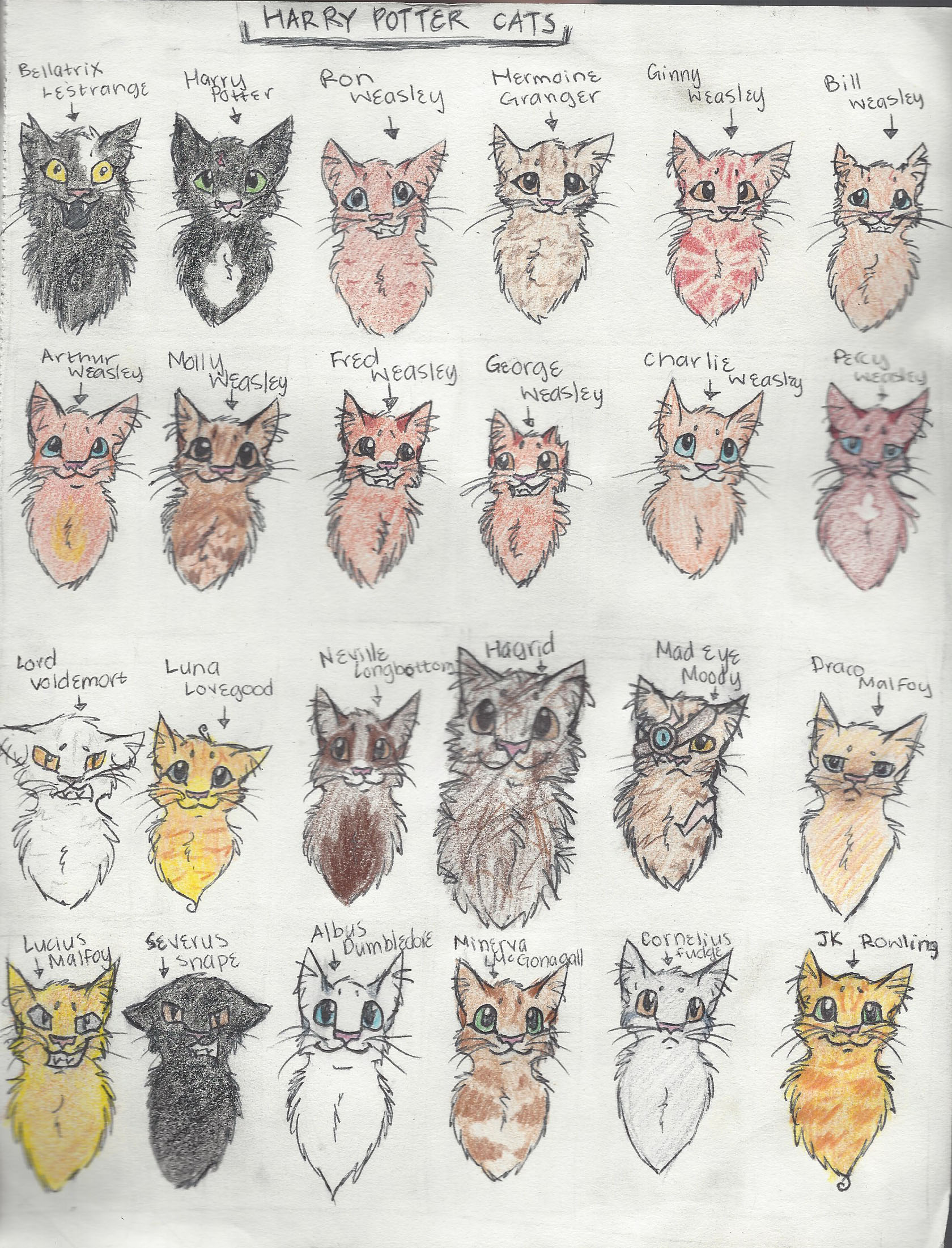 Harry Potter Cats